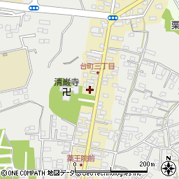茨城県水戸市元台町1543周辺の地図