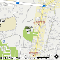 茨城県水戸市元吉田町3237周辺の地図