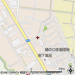 栃木県栃木市樋ノ口町124周辺の地図