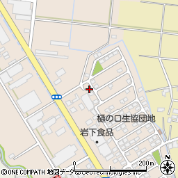 栃木県栃木市樋ノ口町123-29周辺の地図