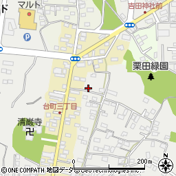 茨城県水戸市元吉田町2411周辺の地図