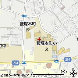 市立藪塚本町小学校周辺の地図