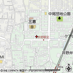 群馬県高崎市井野町353-8周辺の地図