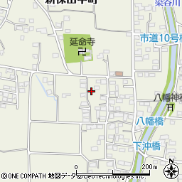 群馬県高崎市新保田中町463-2周辺の地図