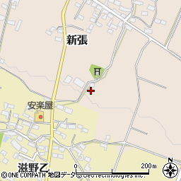 長野県東御市新張6周辺の地図