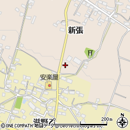 長野県東御市新張1255周辺の地図
