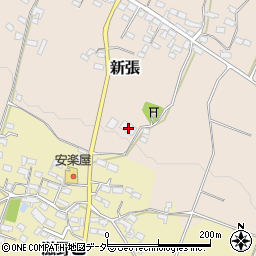 長野県東御市新張1258周辺の地図