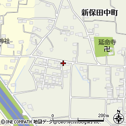 群馬県高崎市新保田中町789-1周辺の地図
