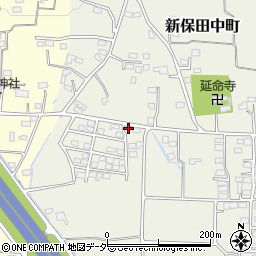 群馬県高崎市新保田中町789周辺の地図