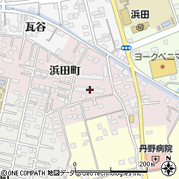 茨城県水戸市浜田町49周辺の地図