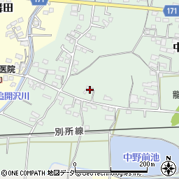 長野県上田市中野895周辺の地図