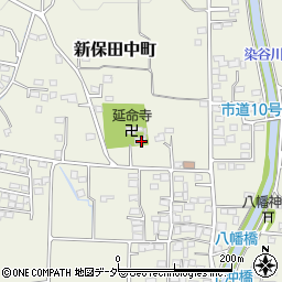 群馬県高崎市新保田中町470周辺の地図