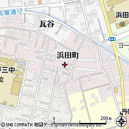 茨城県水戸市浜田町46周辺の地図