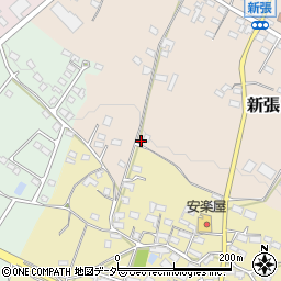 長野県東御市新張1241周辺の地図