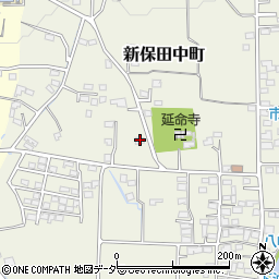 群馬県高崎市新保田中町472周辺の地図