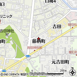 茨城県水戸市藤柄町1423周辺の地図