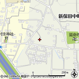 群馬県高崎市新保田中町783周辺の地図