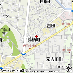 茨城県水戸市藤柄町1420周辺の地図