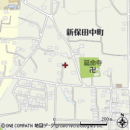 群馬県高崎市新保田中町479周辺の地図