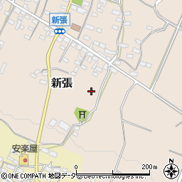 長野県東御市新張1263周辺の地図