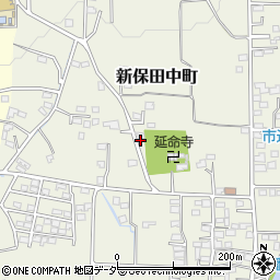 群馬県高崎市新保田中町482周辺の地図