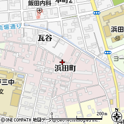 茨城県水戸市浜田町45周辺の地図