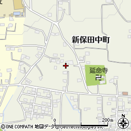 群馬県高崎市新保田中町483周辺の地図