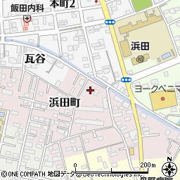 茨城県水戸市浜田町51周辺の地図