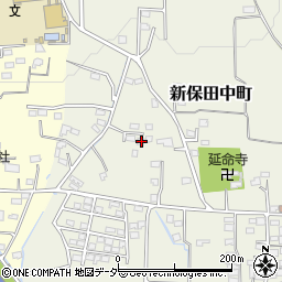 群馬県高崎市新保田中町760-3周辺の地図