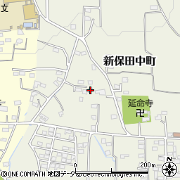 群馬県高崎市新保田中町760-6周辺の地図