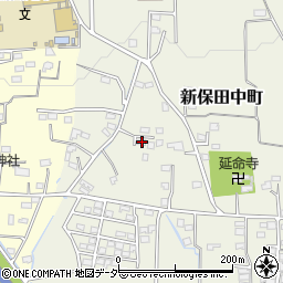 群馬県高崎市新保田中町761周辺の地図