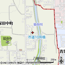 群馬県高崎市新保田中町589周辺の地図