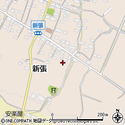 長野県東御市新張1163周辺の地図