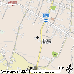 長野県東御市新張1246周辺の地図