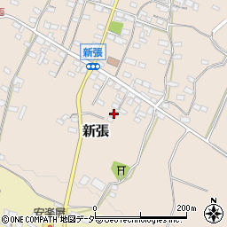 長野県東御市新張1169周辺の地図