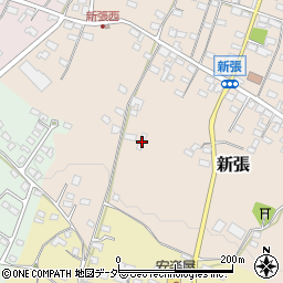 長野県東御市新張1239周辺の地図