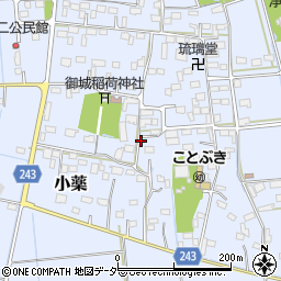 栃木県小山市小薬周辺の地図