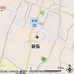 長野県東御市新張1171周辺の地図
