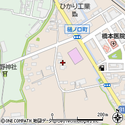 栃木県栃木市樋ノ口町491周辺の地図