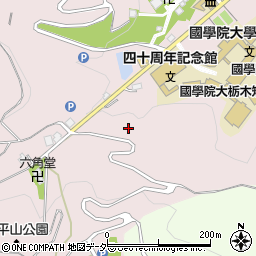 栃木県栃木市平井町628周辺の地図