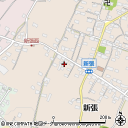長野県東御市新張1196周辺の地図