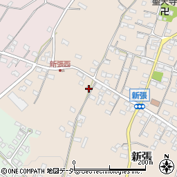 長野県東御市新張1203周辺の地図