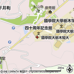 栃木県栃木市平井町618周辺の地図