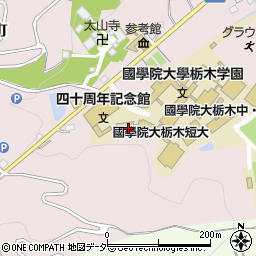 栃木県栃木市平井町616周辺の地図