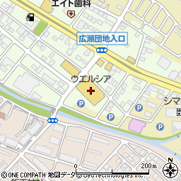 ウエルシア前橋天川大島店周辺の地図