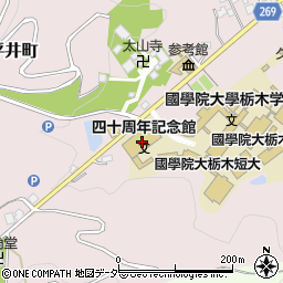栃木県栃木市平井町617周辺の地図