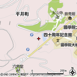 栃木県栃木市平井町696周辺の地図