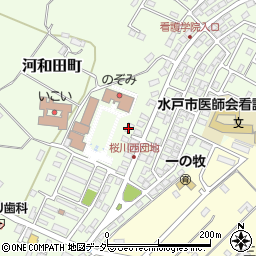 茨城県水戸市河和田町119-10周辺の地図