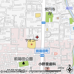 群馬県前橋市箱田町22周辺の地図