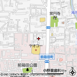 群馬県前橋市箱田町24周辺の地図